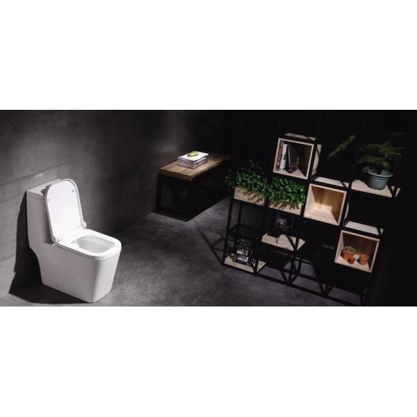 P - поглотите назад для того чтобы огородить оправу туалета Вашдаун лотка двухкусочную - бывшее керамическое