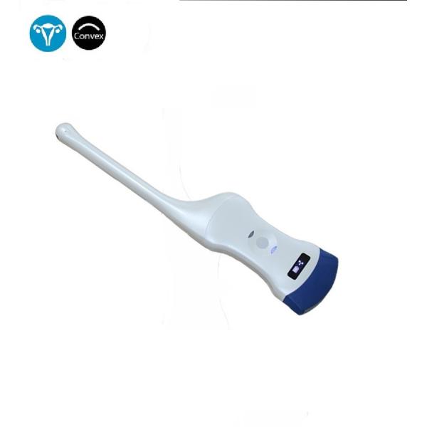 Medical Equipment Handheld Convex Transvaginal Ultrasound Probe