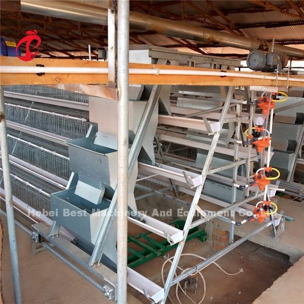 Automatic Drinker Feeder Poultry Chicken Cages 10000 Egg Layer Ada