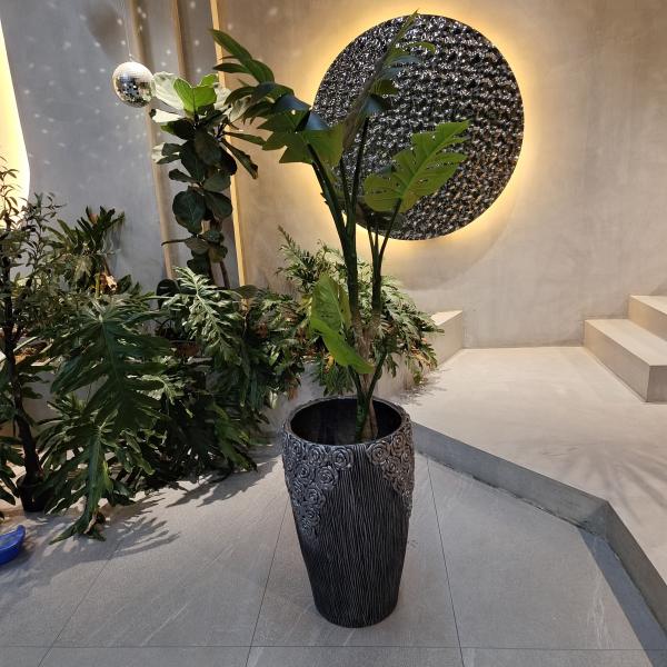 Pot de fibra de cemento con 5-6 años de vida al aire libre hecho de arcilla de fibra resistente a las condiciones climáticas