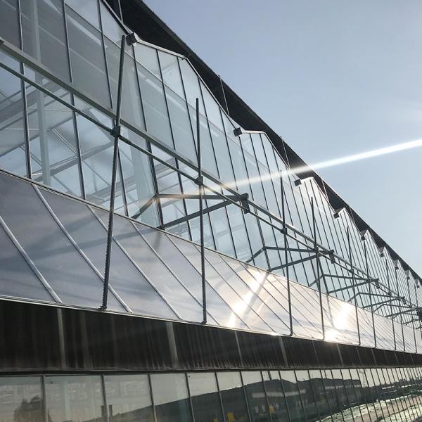 Многопролетная стеклянная тепличная сельскохозяйственная инструкция с супер сильной устойчивостью