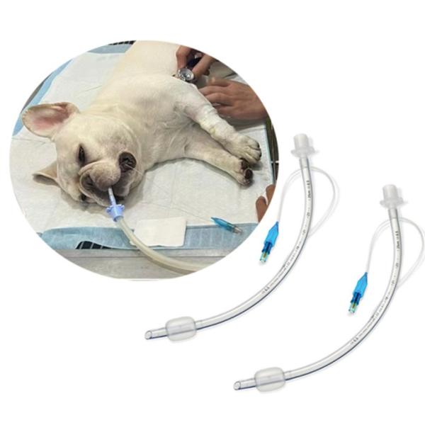 Dog Endotracheal Tube Reinforced Medical-Grade PVC Intubation Tubes for Pets