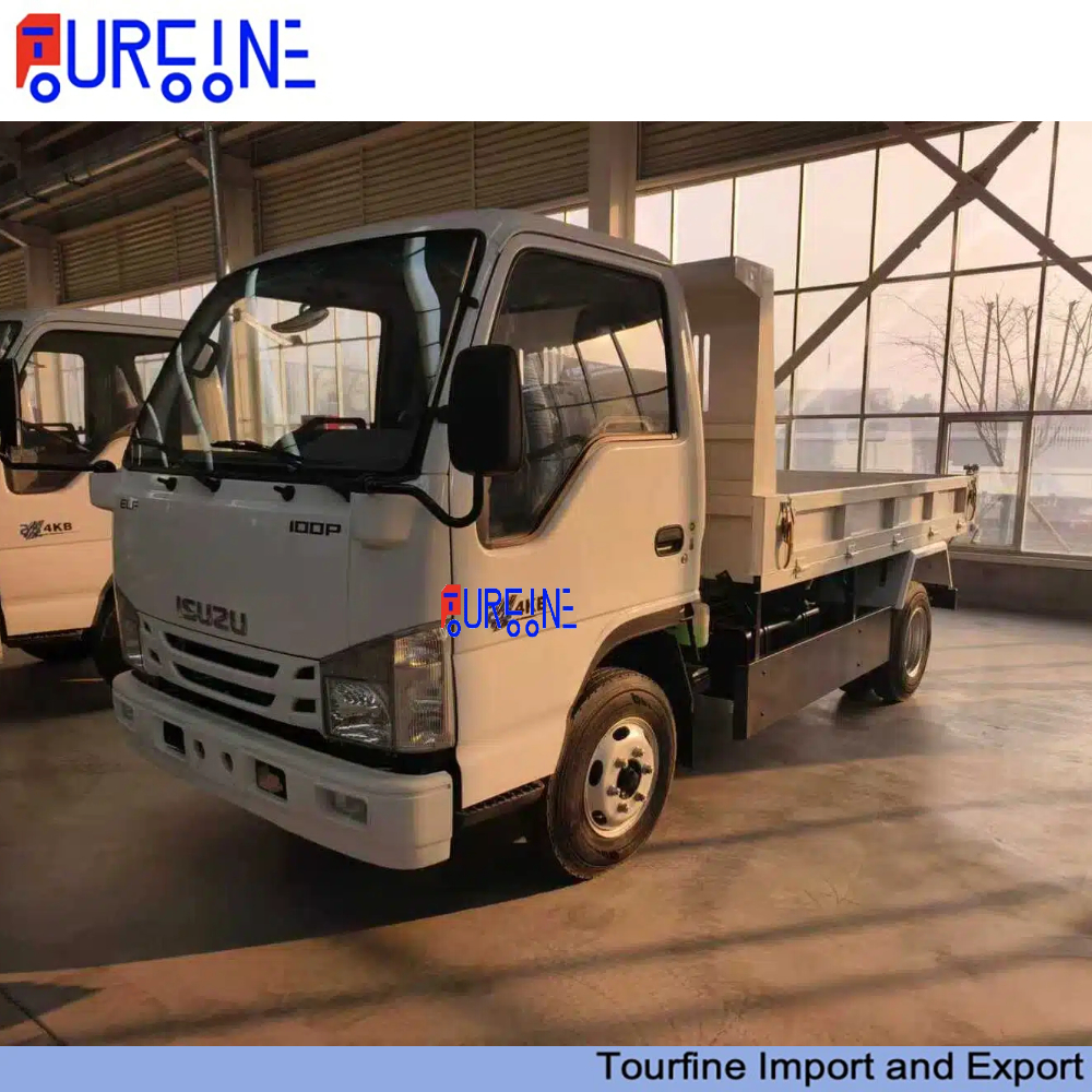 New Isuzu 4x2 Small Dump Truck 2 Ton 3 Ton Capacity with Hydraulic Tipping Body