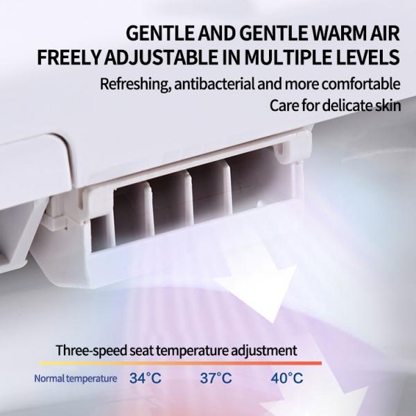 Floor Mounted Ceramic One Piece Intelligent Toilet Bowl Bathroom White Bidet