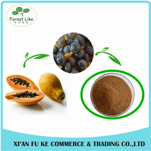 Nutritional Food Ingredients Anti-cancer  Spray Dried 100% Natural Papaya Seed Extract