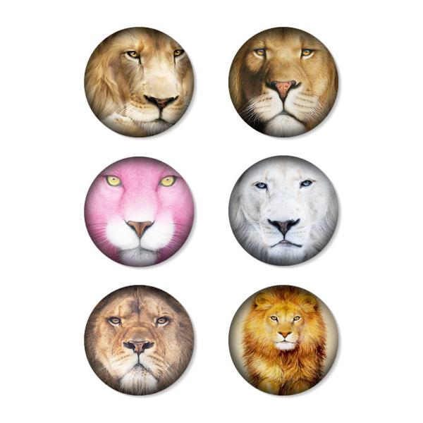 Love Animal Image 3D Fridge Magnets Sticker For Decoration