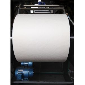 SUGARCANE BAGASSE PLA BIO ECO PLANT-BASED CORN STARCH Tableware Dinnerware Houseware