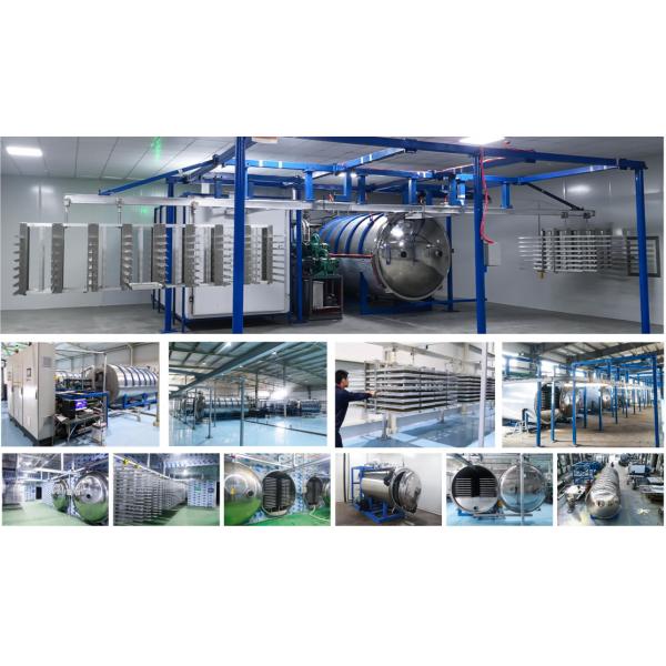 Овощи Продовольствие Вакуумная морозильная сушилка SS морозильное сушильное оборудование