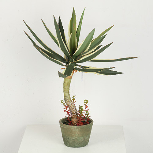 66 столетник СМ СМ 88 СМ 86 искусственный Американа для домашнего украшения