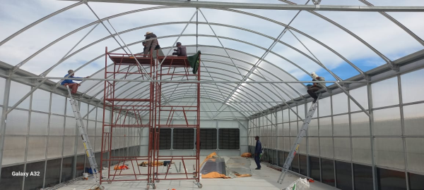 Automated Light Deprivation Greenhouse with 8mm Twin-Wall PC Board and Hot-Dip Galvanized Steel Frame Controlled by Smart PLC System