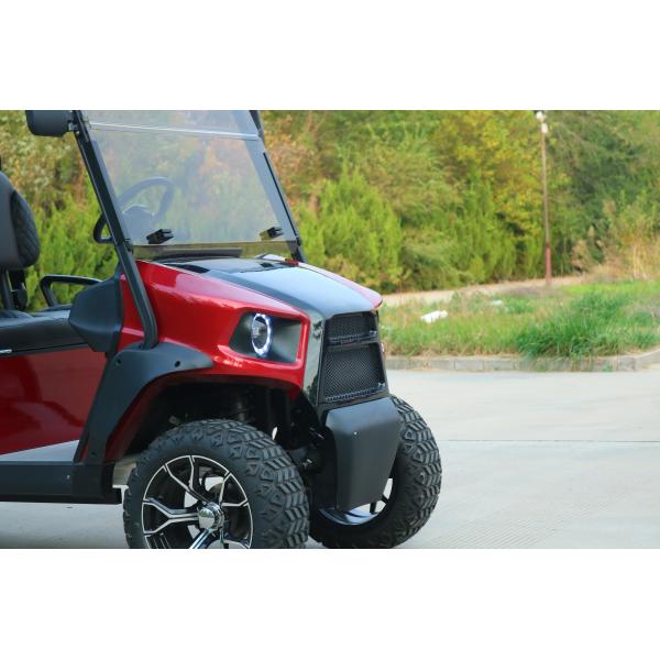 Un seul siège électrique entièrement personnalisable Rario Golf Cart Vintage 8 places