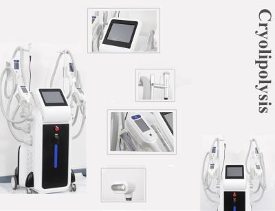 OEM and ODＭ service body slimming cryoliplysis fat reduction machine