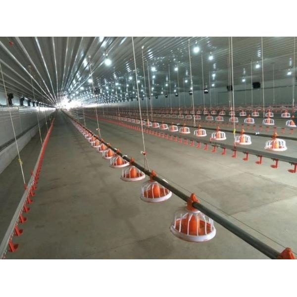 Антикоррозивный оцинкованный полный антоматический птицеводческий завод птицехранилище птицехранилище