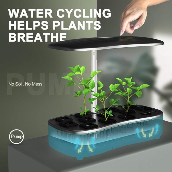 24W Indoor Herb Garden Plants Germination Kit 12 Pods with Automatic Timer Indoor Herb Garden Kit for Home Office