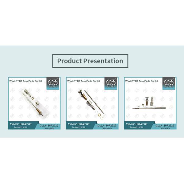 0445110520 Bosch Injector Repair Kit