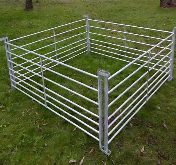 Panneaux de clôture métalliques temporaires faciles à assembler pour bovins, moutons et chevaux