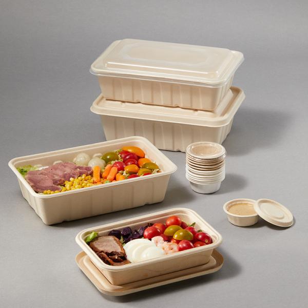 Коробка для завтрака соломы пшеницы 100% Biodegradable устранимая Compostable