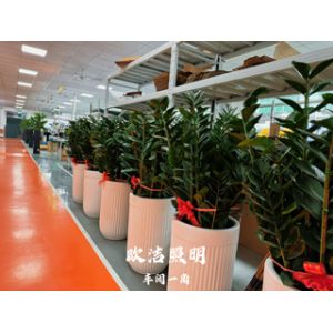 Shenzhen Oujie Lighting Technology Co., Ltd.