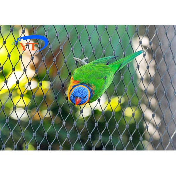 Diamond Shape Stainless Steel Bird Mesh Ferruled Type Or Bird Netting