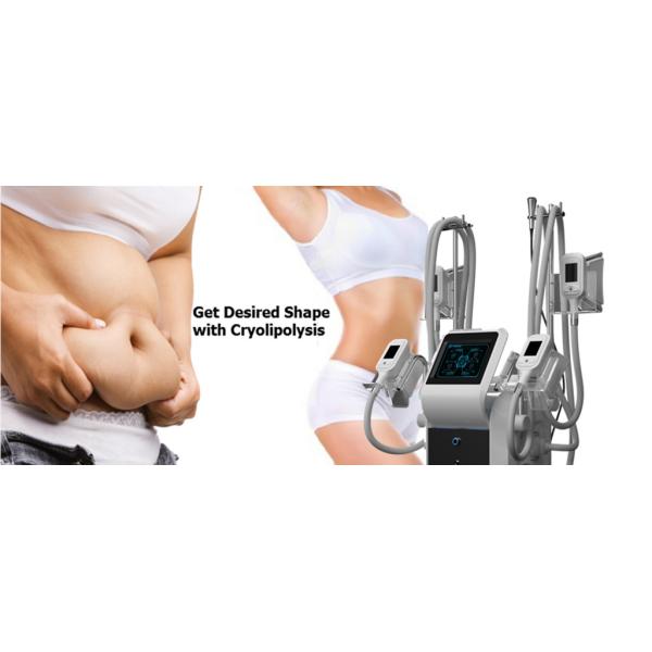 2018 latest Cryolipolysi Cool Shape machine Fat loss Cryolipolysis fat freezing machine Germany
