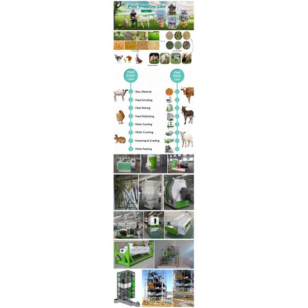 Industrial Feed Pellet Production Line Poultry Feed Manufacturing Equipment