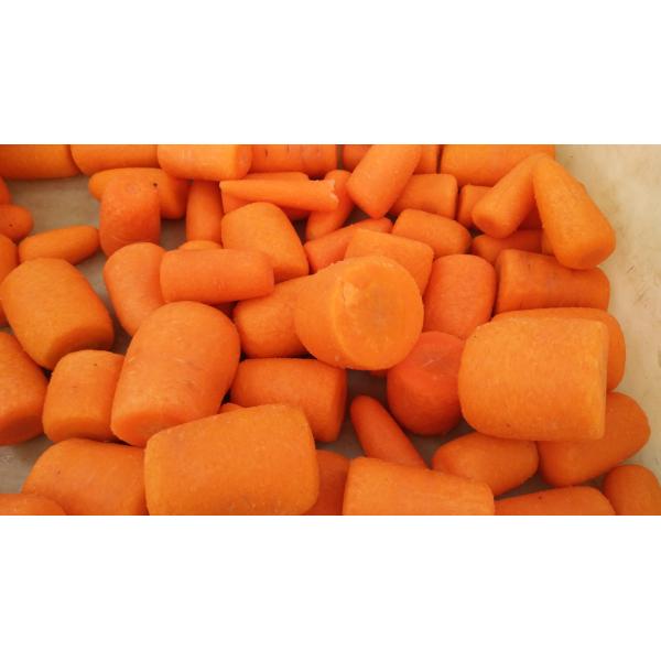 automatic commercial carrot/ginger/potato/fish/Hawthorn washing and polishing machine