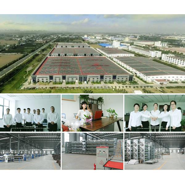 Pesée précise des animaux de 500 g sur les fermes Échelle de bétail avec clôture et support OEM personnalisé