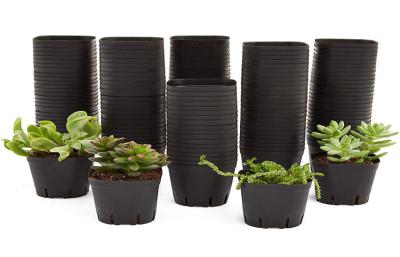 Plantas atarracados plásticas dos bonsais modernos hortícolas pequenos dos potenciômetros da planta dos furos de dreno