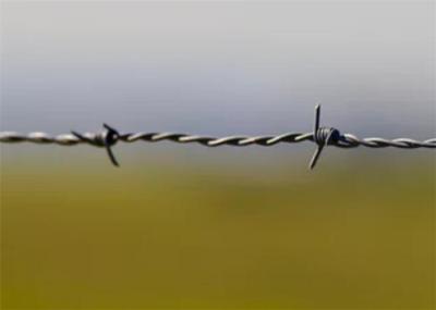 Arame farpado revestido do Pvc das forças armadas duráveis, OEM maioria de cerco farpado do peso do fio
