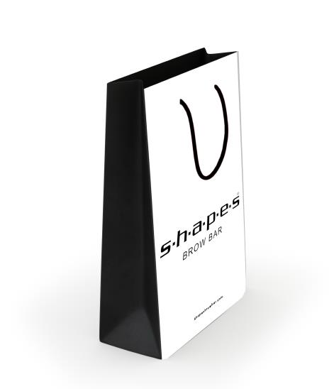 Matte Art Paper Lamination Custom Printing Paper Shopping Bags Logo Hot Stamping with Black Color PP Rope Handle