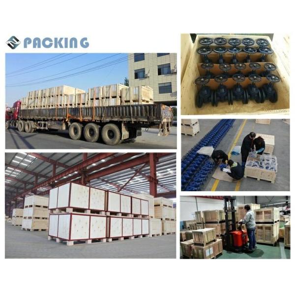 ODM EPDM сидячий корпус из углеродистой стали полузащищенный клапан бабочки для обслуживания водонагревателей