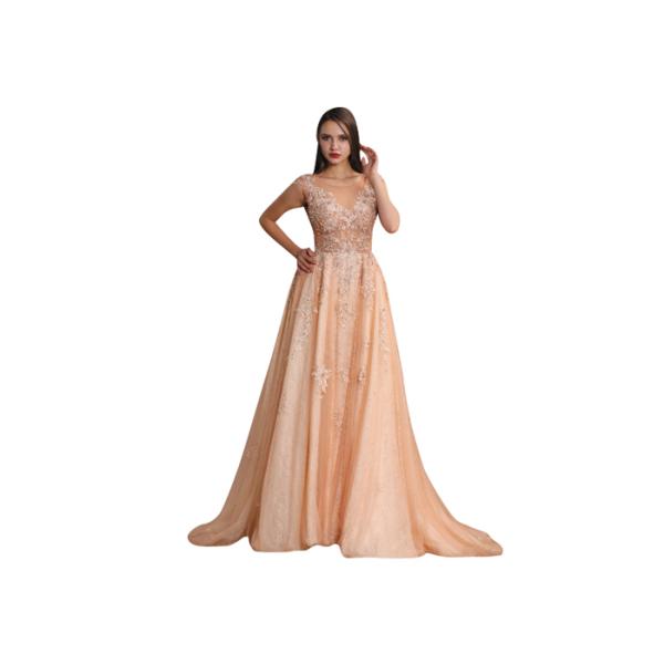 Backless Big Ball Gown Long Evening Gowns Light Orange For Anchorwoman