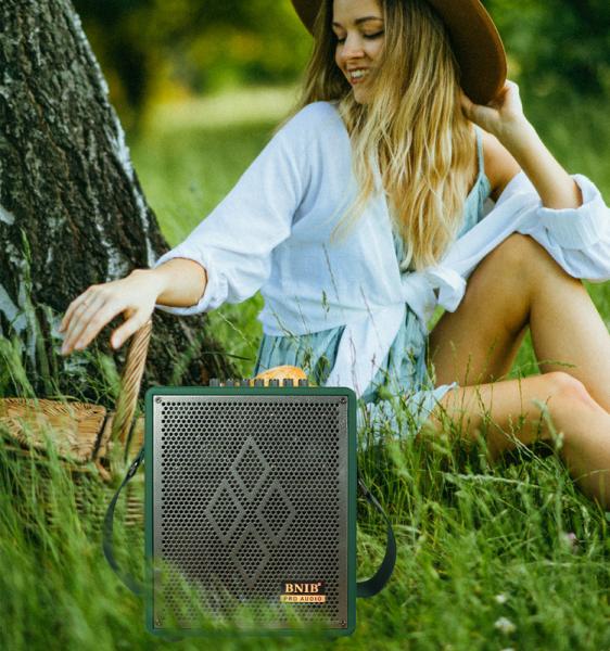Customized Karaoke Portable Bluetooth Speaker 6.5 Inch Subwoofer Speaker Box