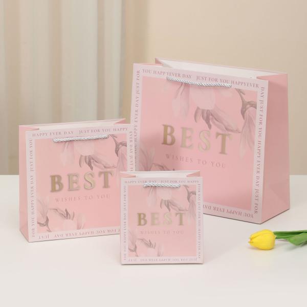 Custom Printed Paper Bags Latest Style for Your Customized Requirements