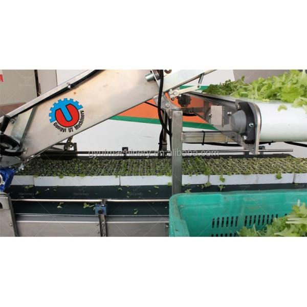 ISO Certified Microgreens Harvester Ideal for Home and Leafy Vegetable Harvesting