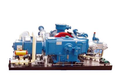 Water Cooling Small Cng Compressor Cng Equipment Shaft Coupling Driven