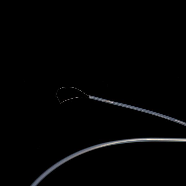 Forceps endoscopique pour le retrait de corps étranger avec le tube externe