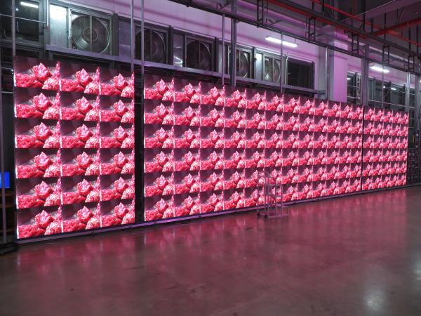 GCL LED Gspark L'écran LED fixe d'intérieur de pointe pour une expérience visuelle améliorée avec un mur d'images haute définition