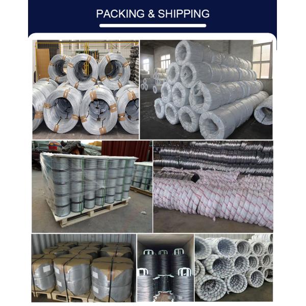 Electric Fence Wire 1.6mm Galvanized Iron Wire Steel Wire for Fencing Standard AiSi Round Wire Brush