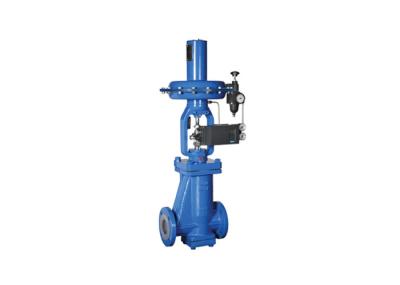 DN50 Globe 2 Way Control PTFE Lined Valves Precise Dimension Anti - Corrosion