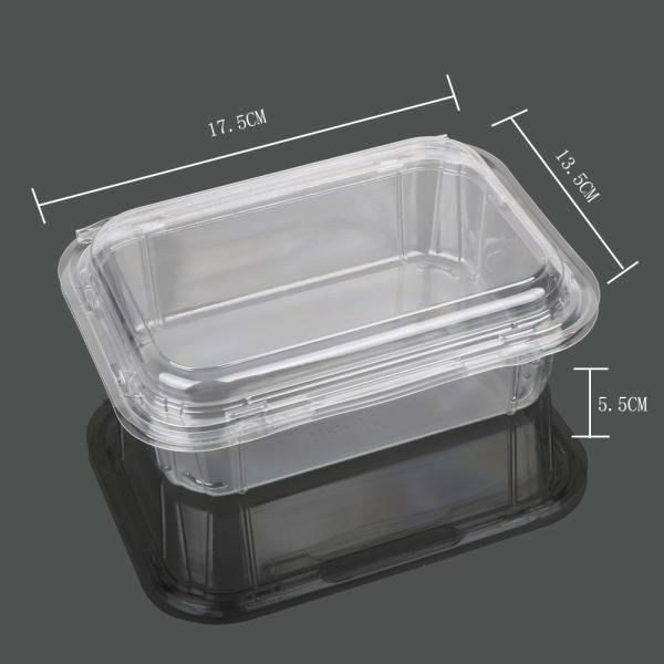 Takeaway Packaging 13.5cm Disposable Plastic Food Box