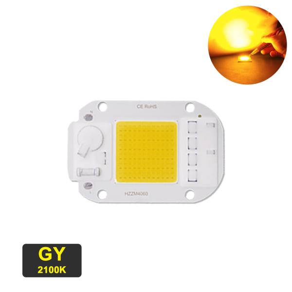 6500K 20W Chip LED COB Nature Cold Blue Red For Landscape Lighting