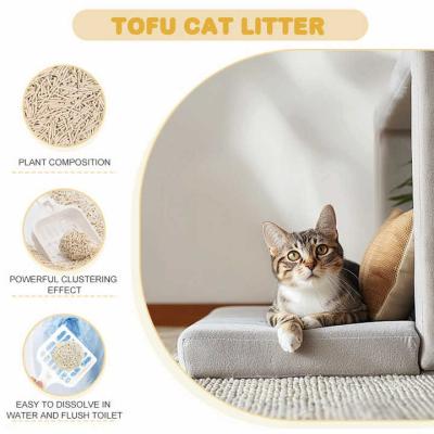 Tofu pur à base de plantes Litter de chat