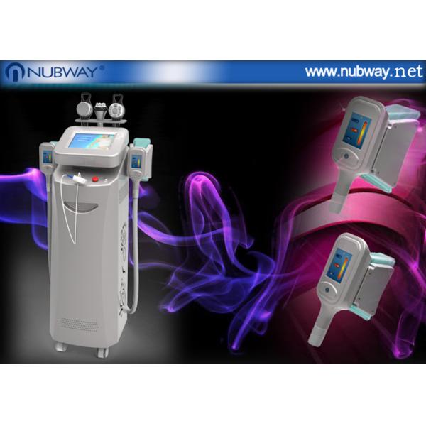 best price cryolipolysis fat burning machine