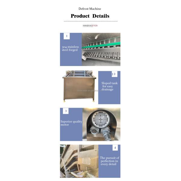 Adjustable Speed Defroster Equipment for Quick Meat Thawing in Industrial Settings