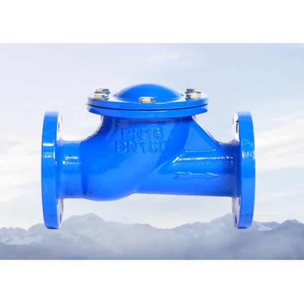 OEM ODM Flange Check Valve PN16 DN100 Ductile Iron Check Valve