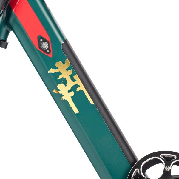 Adult Hybrid Electric Mountain Bike  8 Speed  Lithium Battery power supply