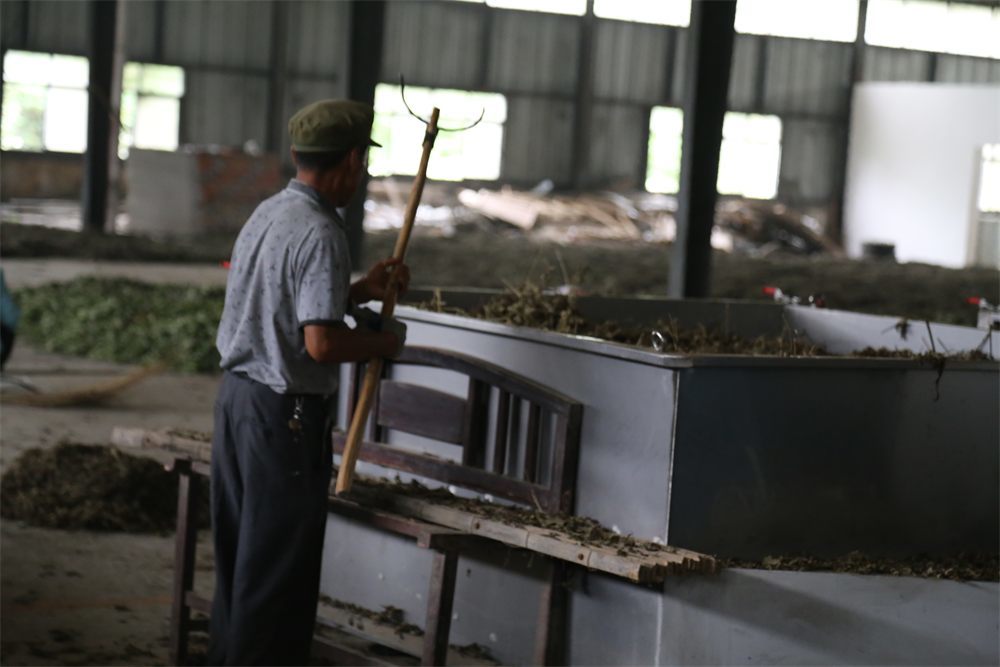Hubei Yishiyuan Chinese Mugwort Biotechnology Company Limited