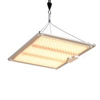 600w HPS 4x4 Grow Light Plant Lamp Promote Flowering And Fruiting