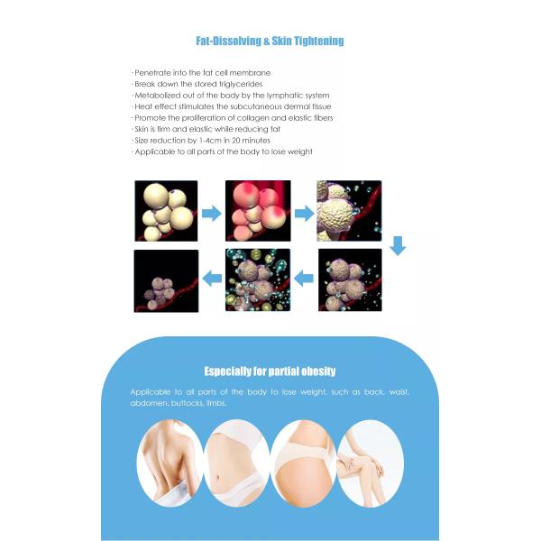 2025 Forma corporal 6D Lipo Máquina de adelgazamiento con láser Eliminación de grasas 635 Perdida de peso delgada